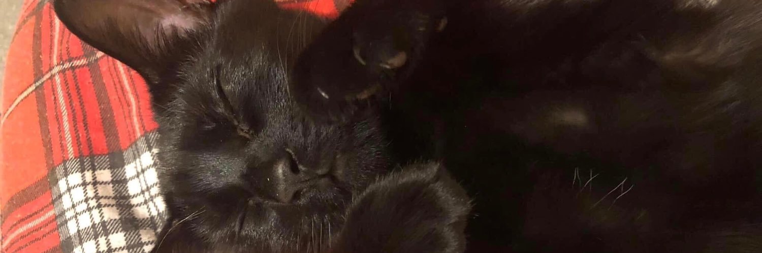 BexDiane's profile banner image