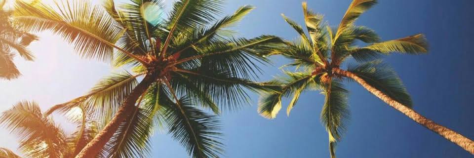 ___vianna's profile banner image