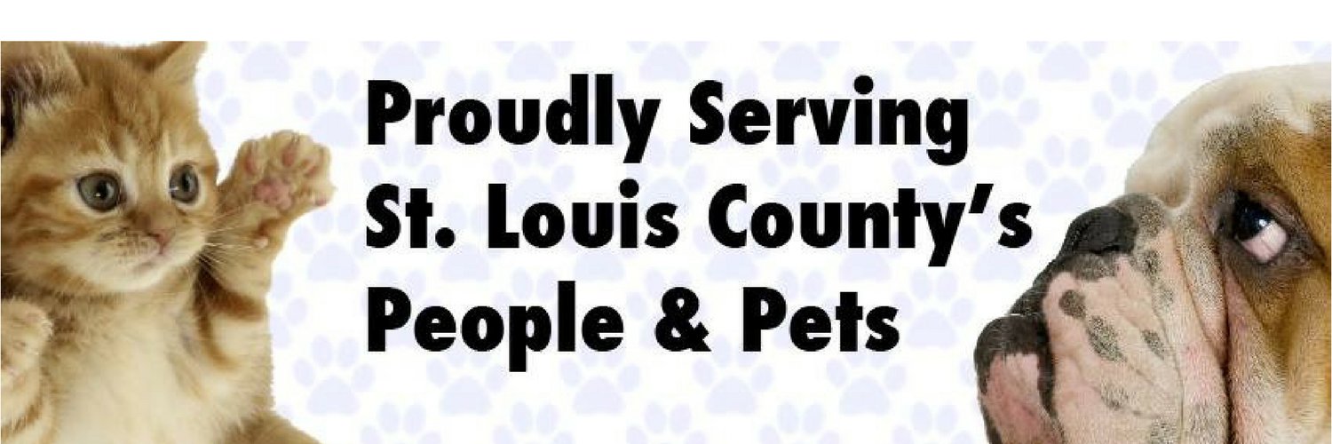 StLCountyPAC's profile banner image