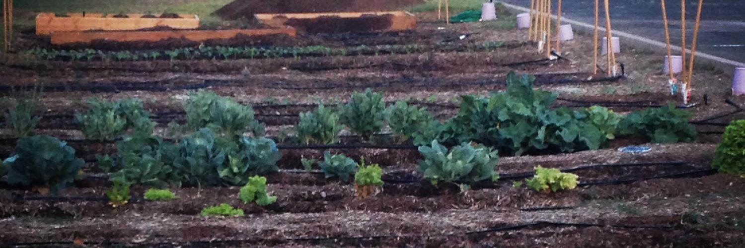 fbcsgarden's profile banner image