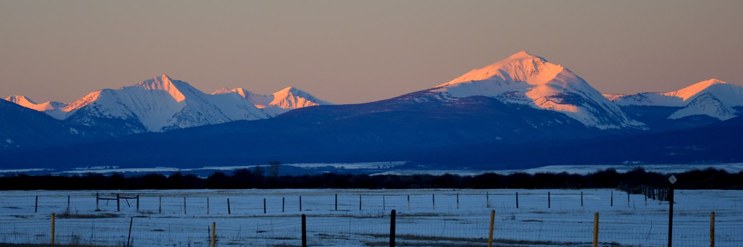 Daniel Sullivan banner