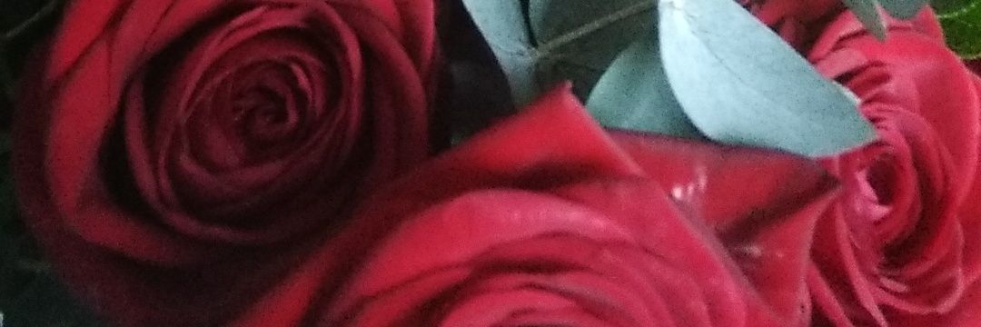 Just_illusion52's profile banner image