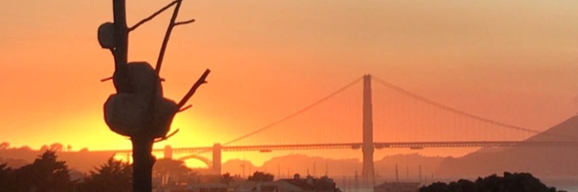 Better Call Non banner