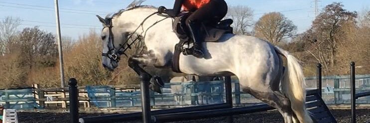 AMurphyEventing's profile banner image