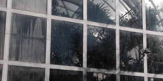 BEHAVINGFAITH's profile banner image