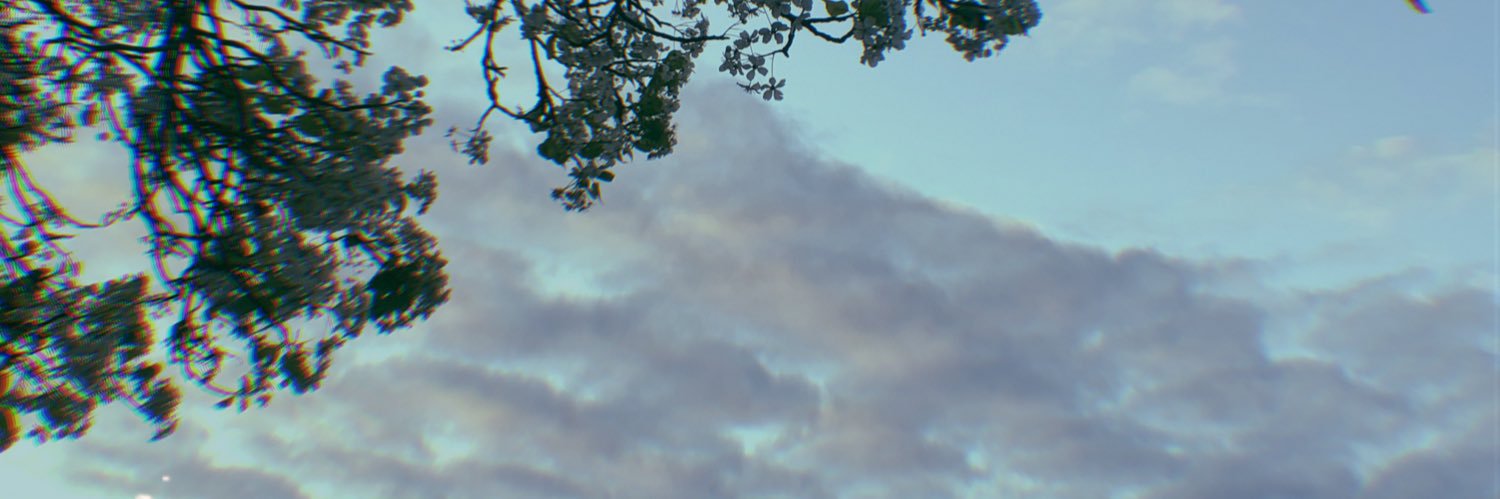 _bunniel's profile banner image