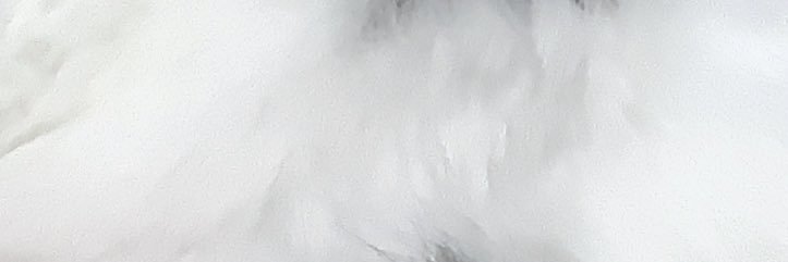 ZorrroPlateado's profile banner image