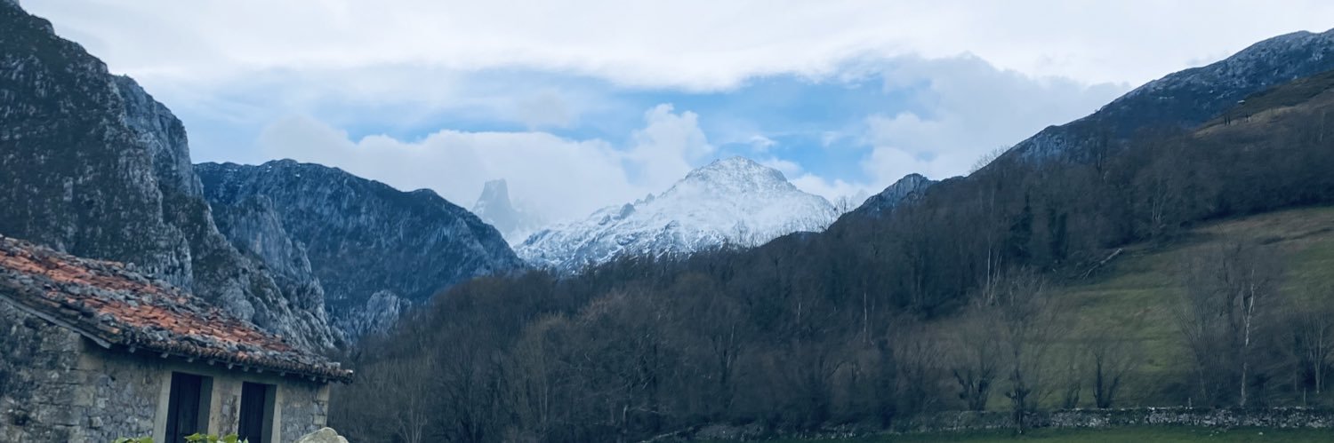 Zulema Altamirano A banner