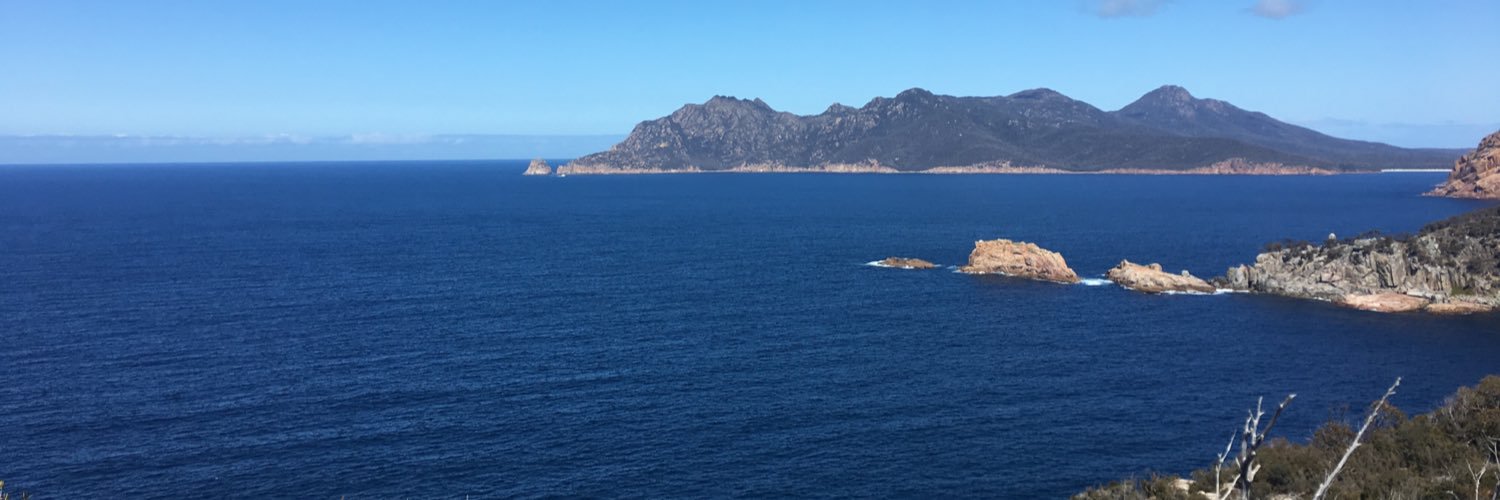 Dr Jennifer McCann banner