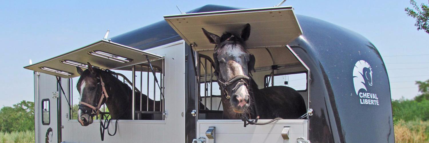 Cheval_Liberte's profile banner image