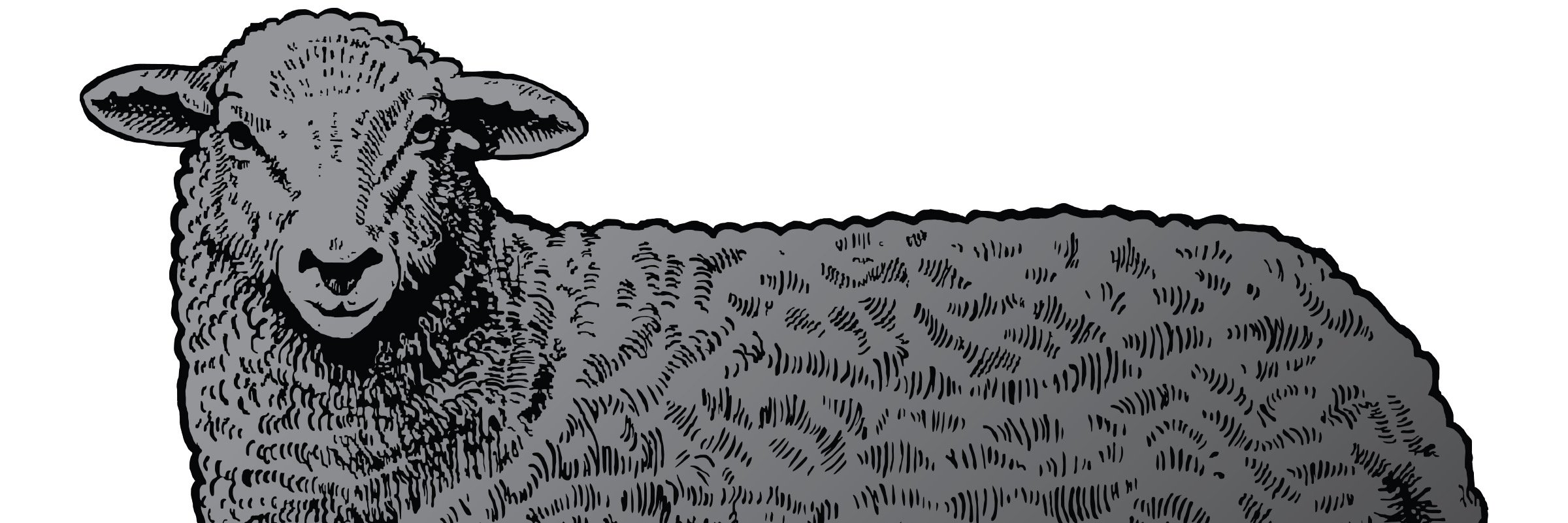 bsbwillowglen's profile banner image