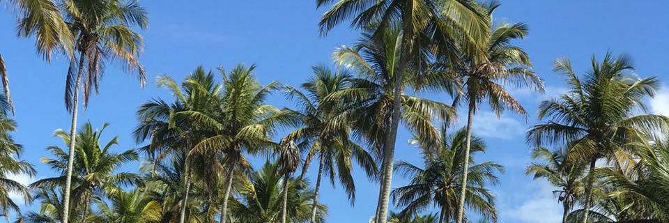 amandab94_'s profile banner image