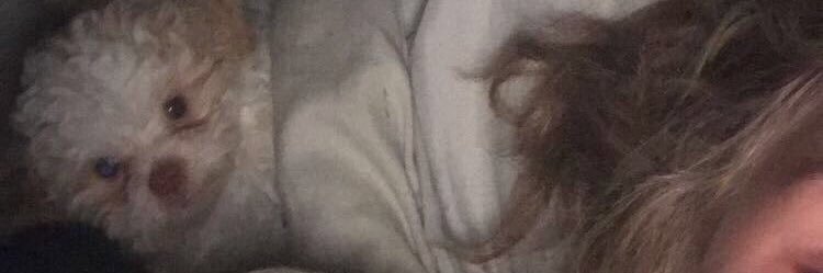 kailsjo13's profile banner image