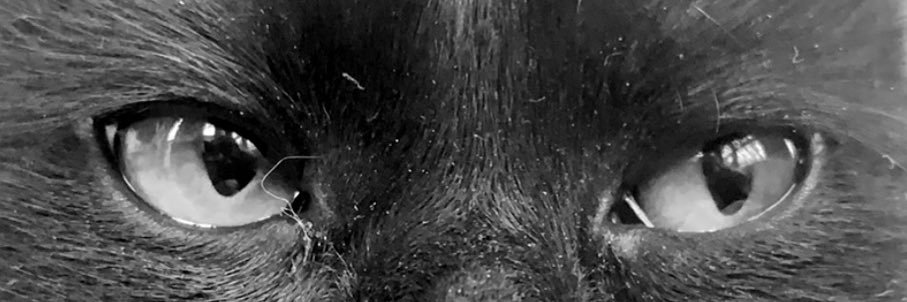 Brenbrenyoung's profile banner image