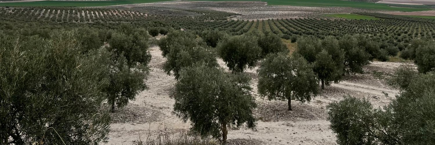 Aceite1881's profile banner image