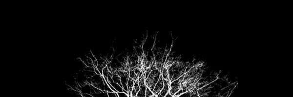 onl_ynaa Profile Banner