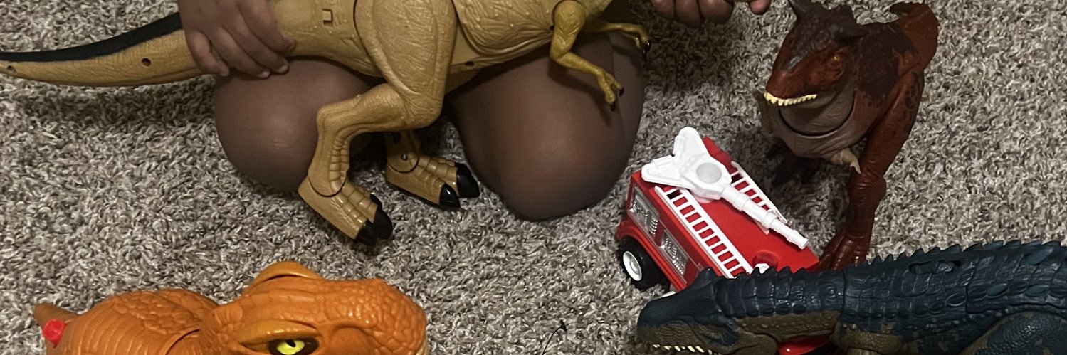 _RozahParks's profile banner image