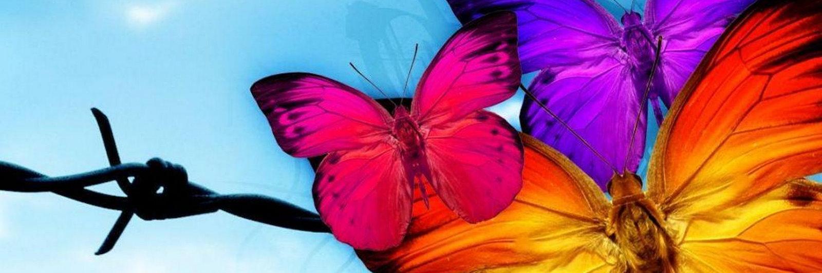 NOYƸӜƷ💞💐🙏🌈 banner