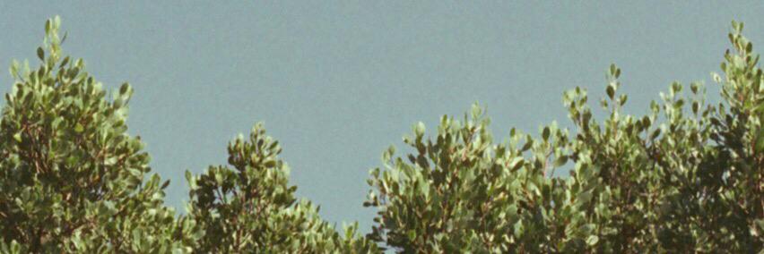 armmrh's profile banner image