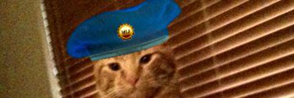 SqueakyElvis Profile Banner