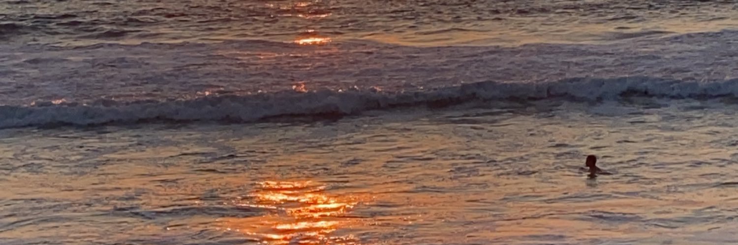 sandrisnavarro's profile banner image
