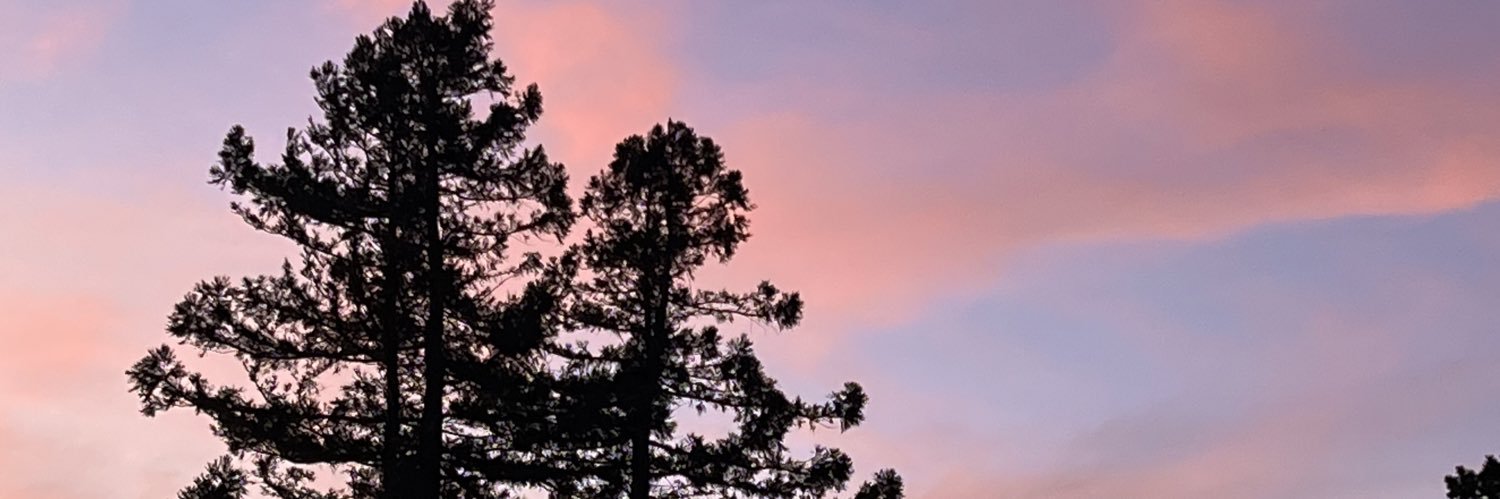 MagdaCinque's profile banner image