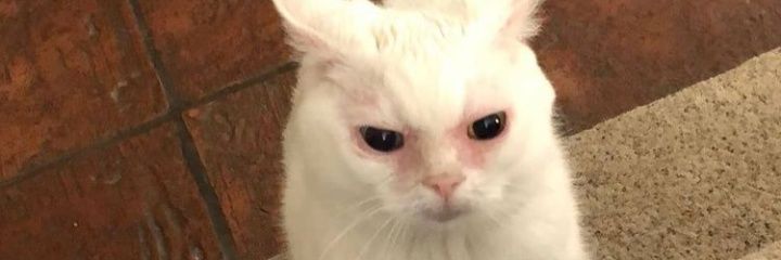 UmaTurma33's profile banner image