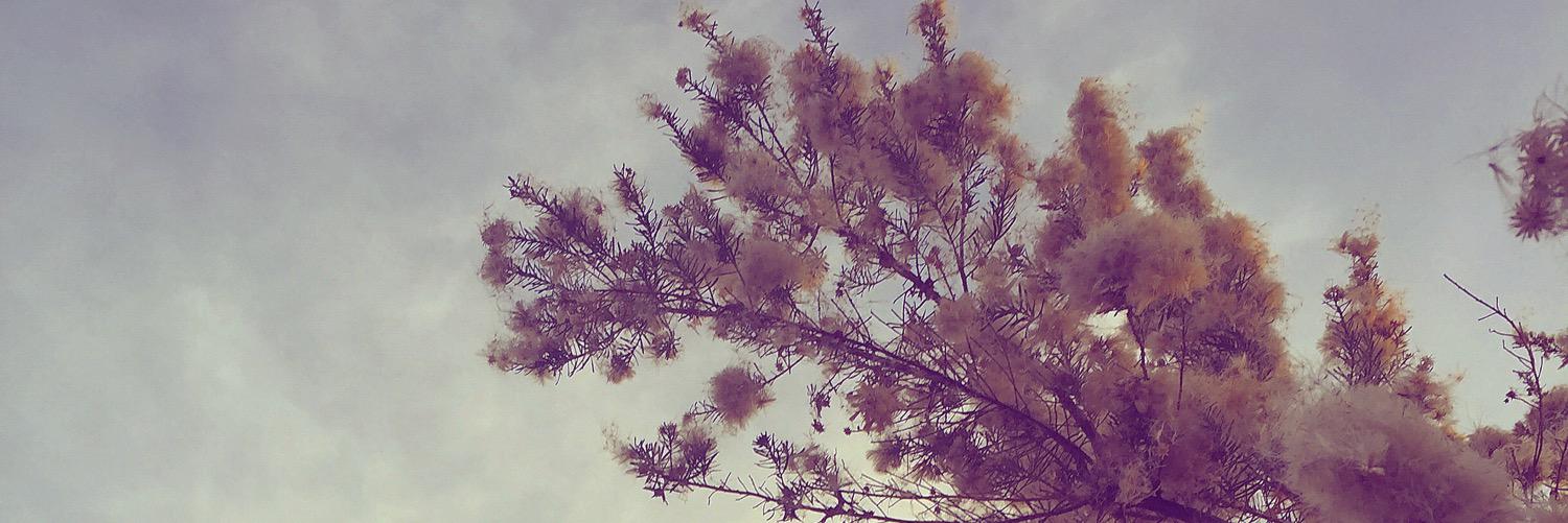 LaClodeteria's profile banner image