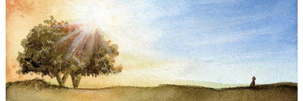 gabstef20's profile banner image