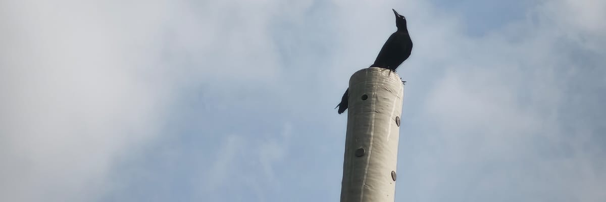 miltonmercado's profile banner image