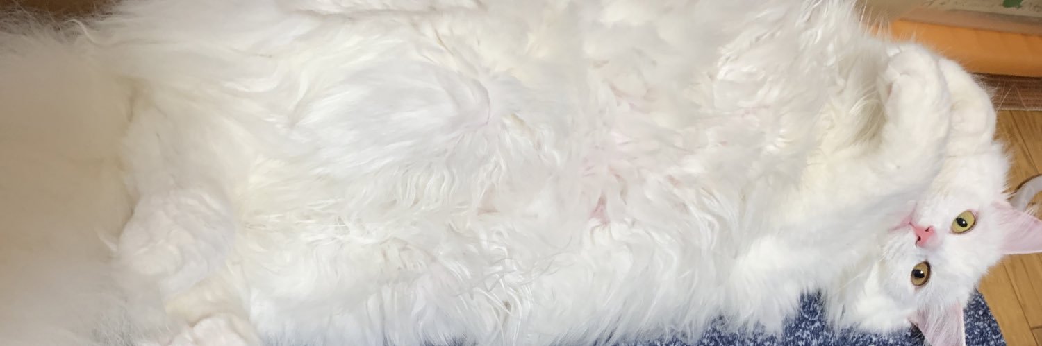 WagonGt's profile banner image