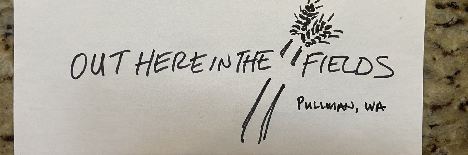 Reybone16's profile banner image
