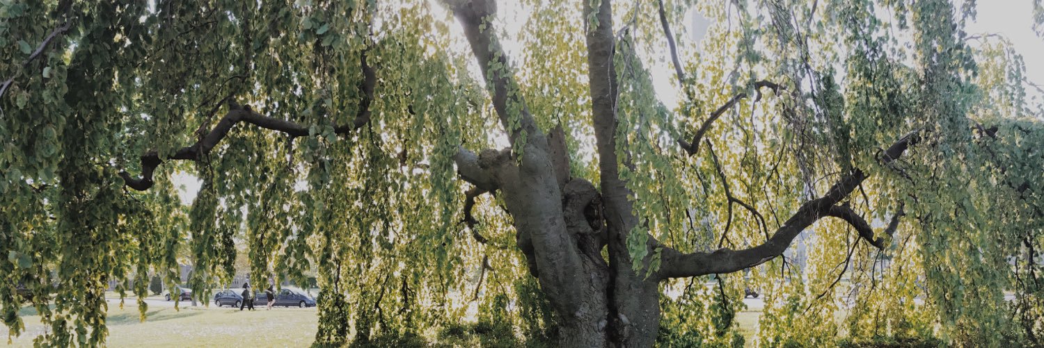 EmmaRHartmann's profile banner image