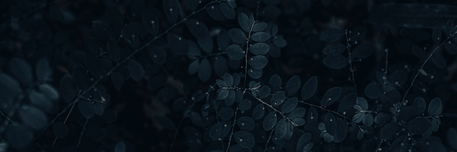 jasonkobs's profile banner image