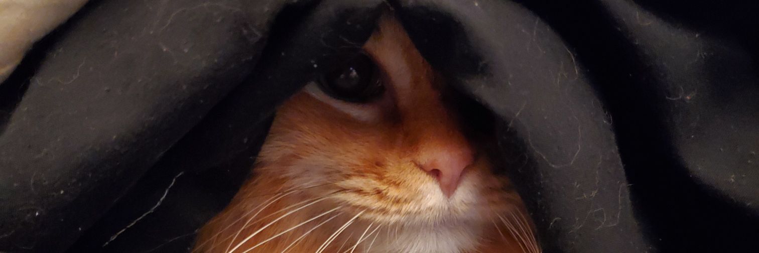thewade102's profile banner image