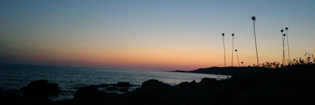 SunsetDawn440's profile banner image