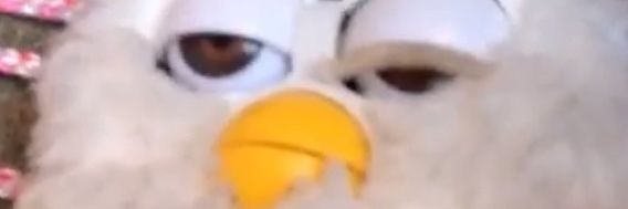 Josh | Setton | Zen banner