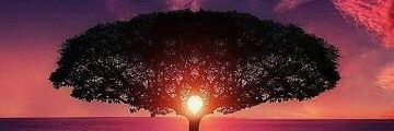 KimberlyBaeza's profile banner image