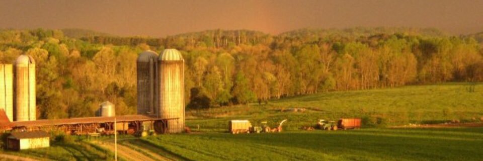 EmGoinsSmith's profile banner image