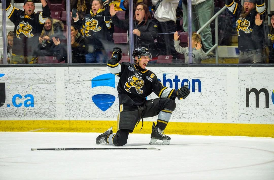 @StingUpdates banner