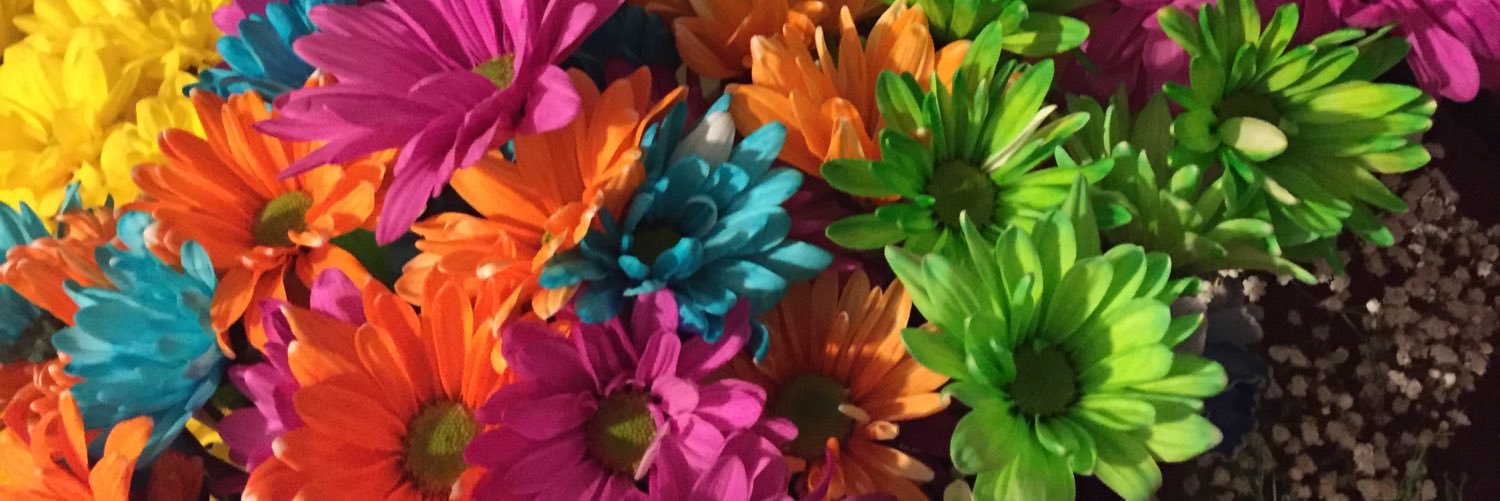 TLBloyer's profile banner image