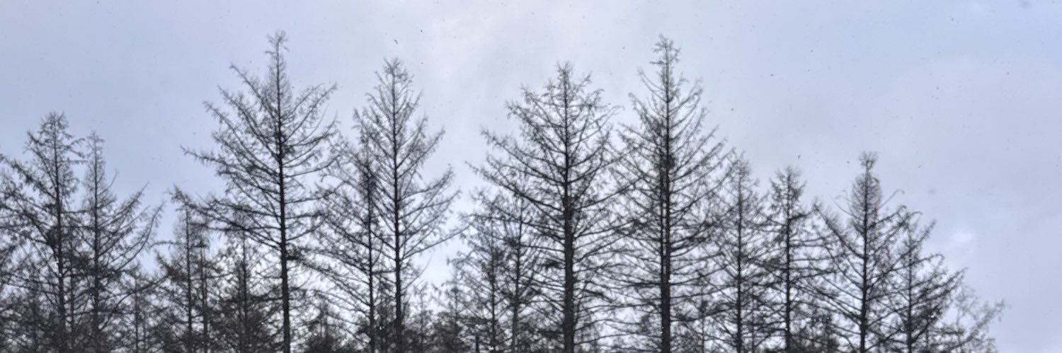 reiyooo_'s profile banner image