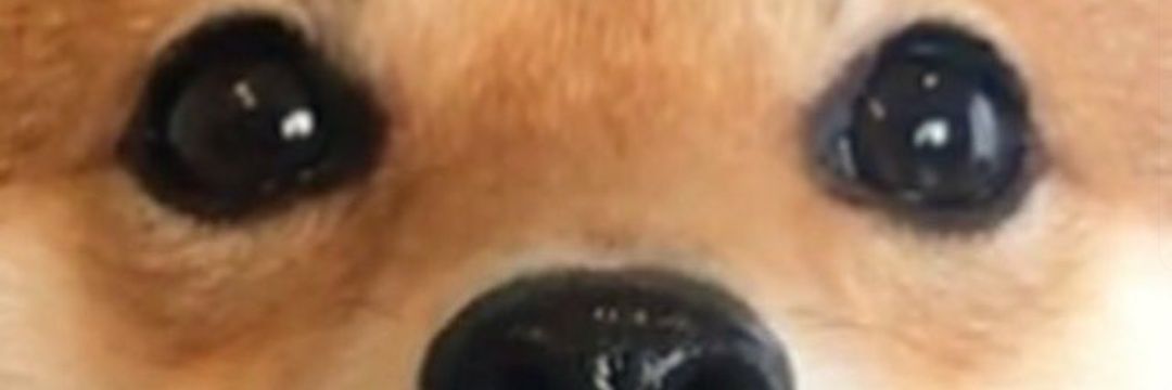 supaeego's profile banner image