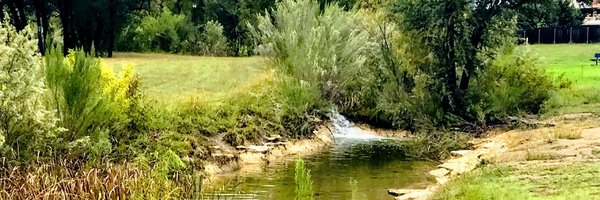 EESummy Profile Banner