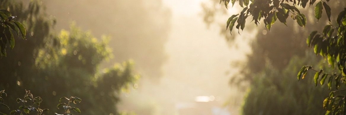 Mr_Natural101's profile banner image