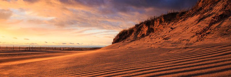 South Coast Almanac banner