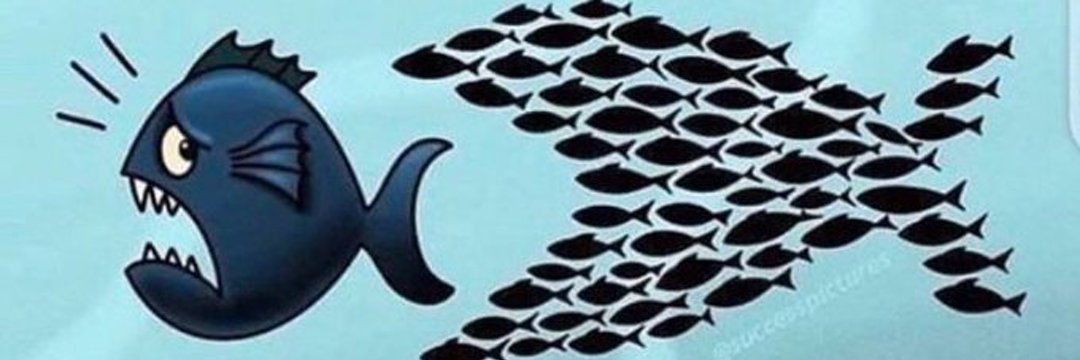 sabi_boy2's profile banner image