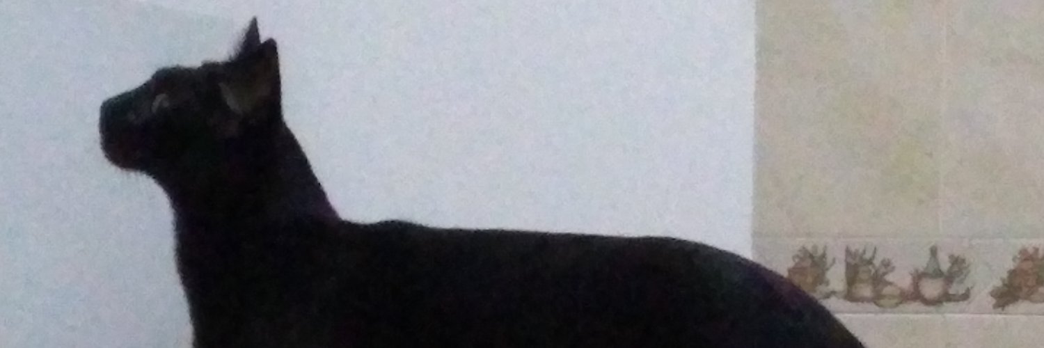 hugocrisman hugocrisman banner