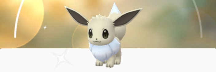 tamae178's profile banner image