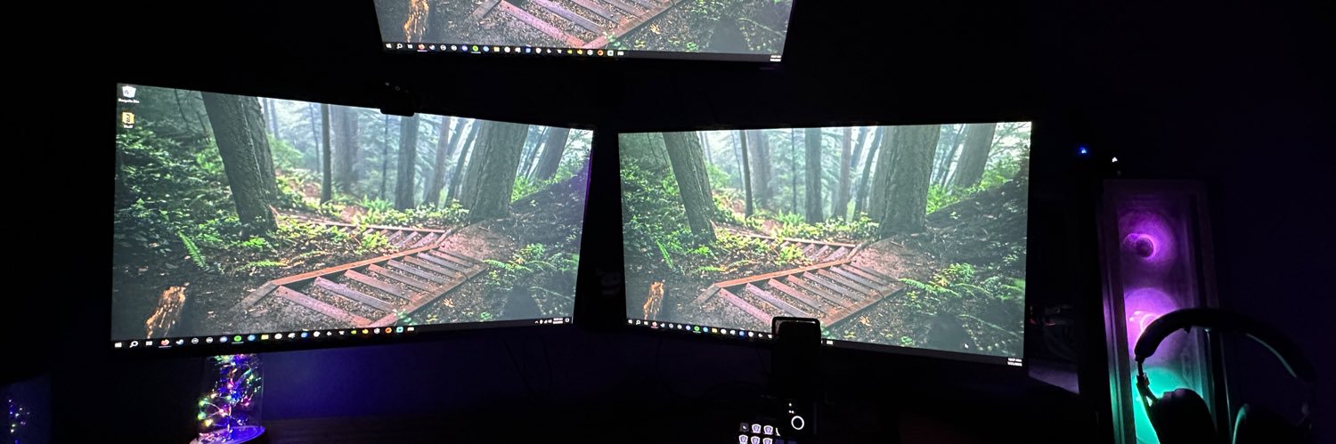 LizRoses__'s profile banner image